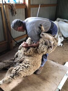 124781963_1068015276963833_6096238103806545109_n