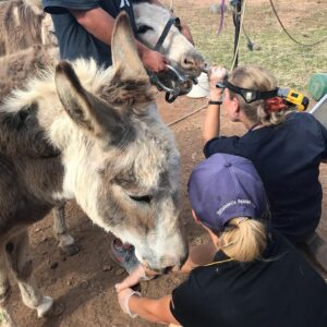 127580272_1080694885695872_6605257394924826207_n