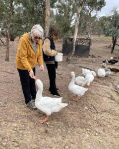 343565865_1233740587254384_2647769733861612625_n