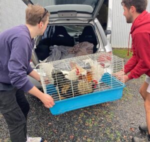 354068546_573465481629078_1418955318033994522_n