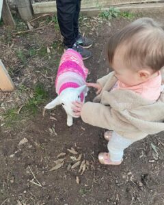 355126527_576186788023614_1269631417467615656_n