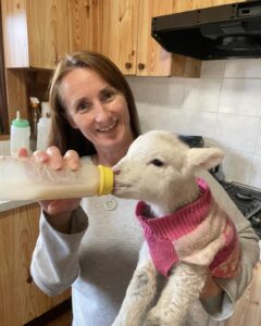 361400574_590610296581263_1654828264162750128_n