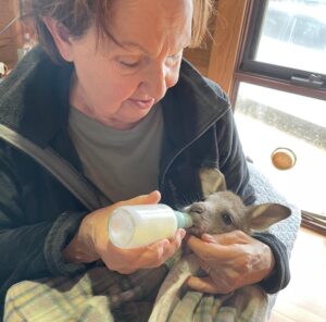 366738660_608109638164662_1641128740947678342_n