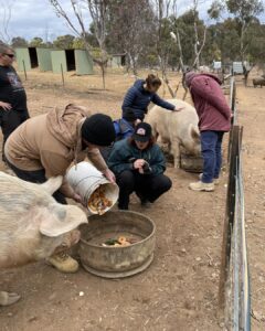 367700062_606135035028789_1720047536071665618_n