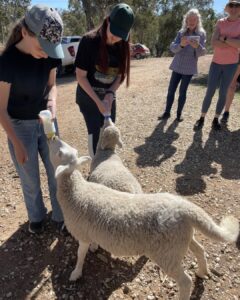 380990884_627967822845510_7597655006874000591_n