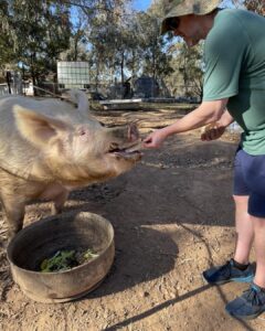 383338835_627967806178845_7256857837454449827_n