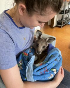 384774465_631595745816051_1017577811934468353_n