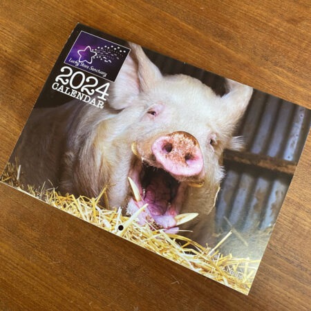 2024 Lucky Stars Sanctuary Calendar Front Cover