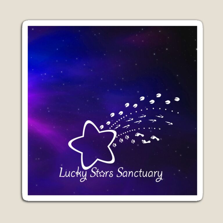 mo,small,flatlay,product_square,1000x1000.u8