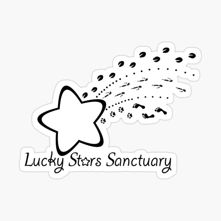 st,small,845x845-pad,1000x1000,f8f8f8.u1