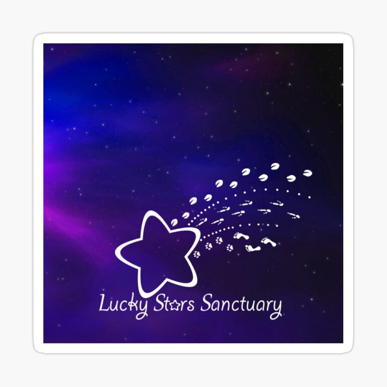 st,small,845x845-pad,1000x1000,f8f8f8.u8