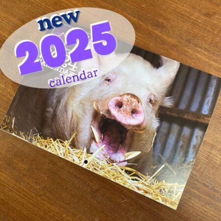 2025 Calendar Cover