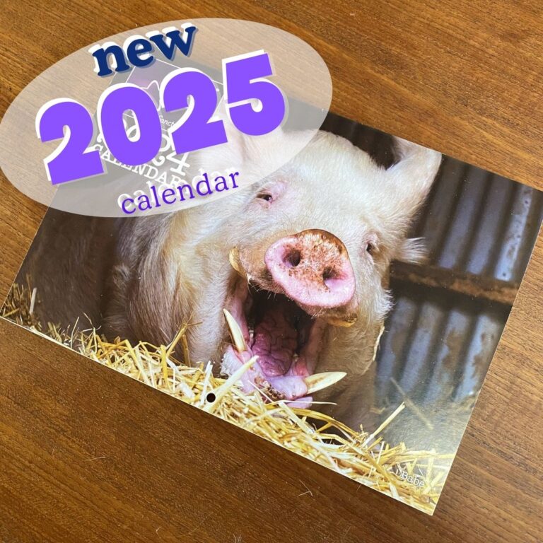 2025 Calendar Cover