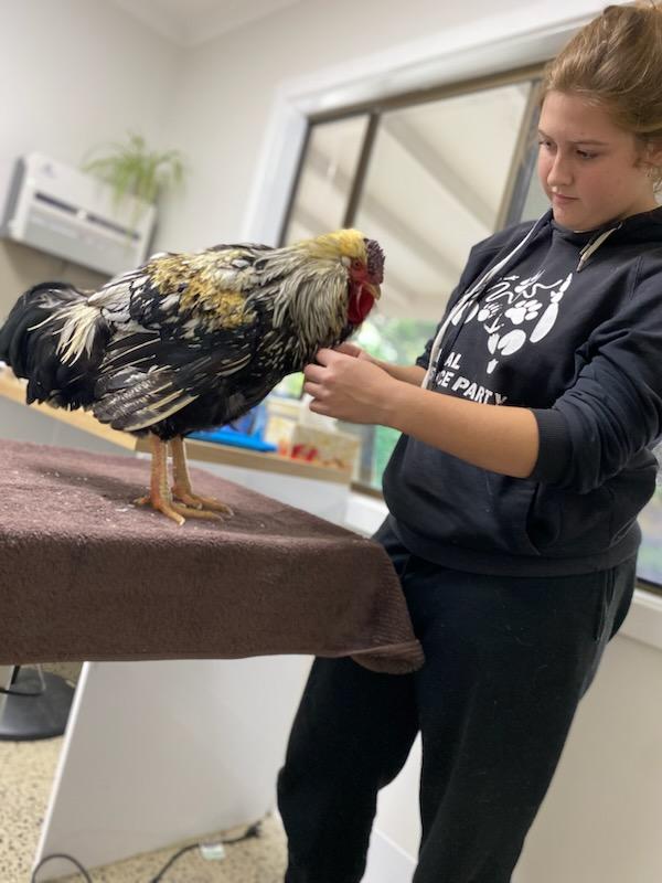 signal-2025-11-06-153628